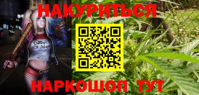 прущие крисы Будённовск