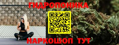 прущие крисы Будённовск