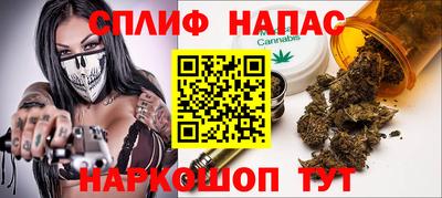 прущие крисы Будённовск